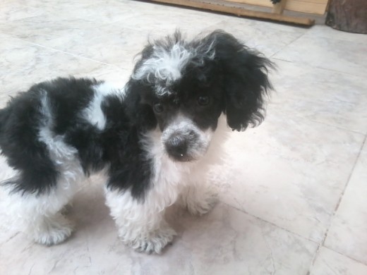 mi amor esta precioso! mi amor esta precioso!